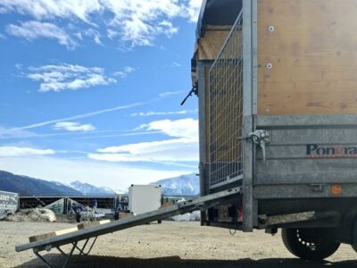 gebrauchter Pongratz Viehanhänger PHL 3100-17 mit 2000kg Laner Anhänger