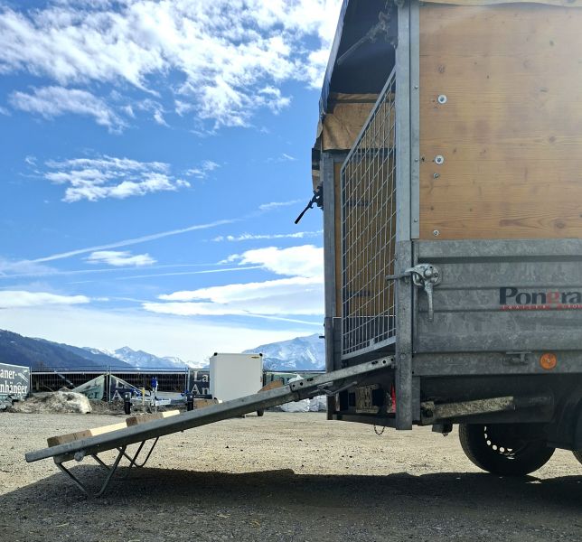 gebrauchter Pongratz Viehanhänger PHL 3100-17 mit 2000kg Laner Anhänger